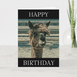 Grattis på födelsedagen Llama - födelsedagskort Kort