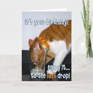 Grattis på födelsedagen - Lustigt kattdrickande fr Kort