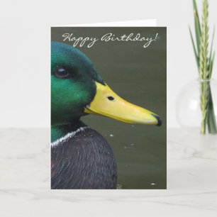 Grattis på födelsedagen Mallard Anka Kort
