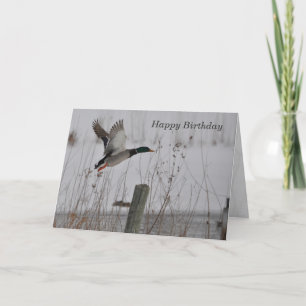 Grattis på födelsedagen Mallard Anka Kort