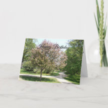 Grattis på födelsedagen Mamma Äppelblomstrande Trä