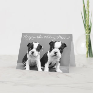 Grattis på födelsedagen Mamma Boston Terrier-brick Kort
