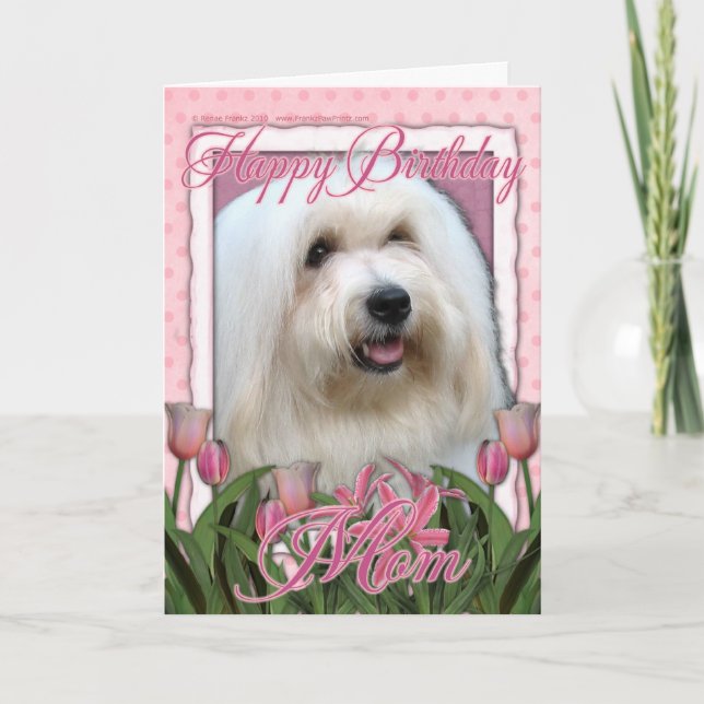 Grattis på födelsedagen Mamma - Koton de Tulear Kort (Framsida)