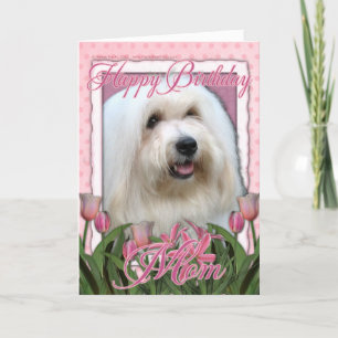 Grattis på födelsedagen Mamma - Koton de Tulear Kort