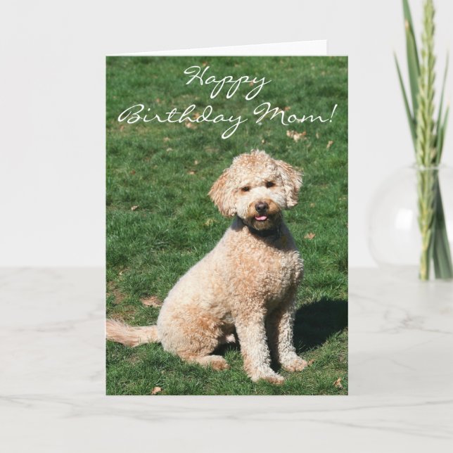 Grattis på födelsedagen Mamma Mini Goldendoodle-hä Kort (Framsida)