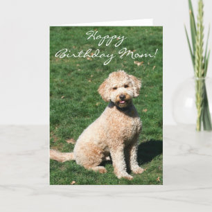 grattis på födelsedagen Mamma Mini Goldendoodle-hä Kort