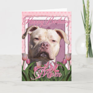 Grattis på födelsedagen Mamma - Pitbull - Jersey G Kort