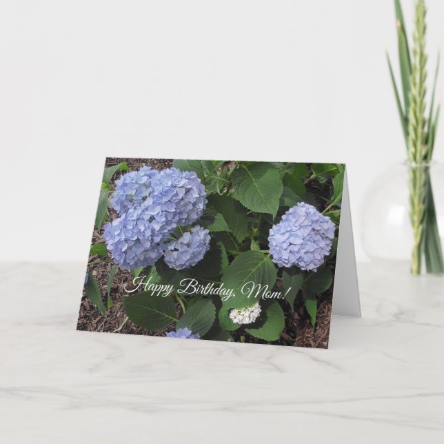Grattis på födelsedagen Mamma, Söt Lila Hibiscus Kort (Framsida)