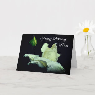 Grattis på födelsedagen Mamma Vita Rosenknoppen Fl Kort