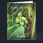 Grattis på födelsedagen Manar Coconuts Träd Tropic Kort<br><div class="desc">Grattis på födelsedagen Coconuts Träd Tropical Big Anpassningsbar Card har tropcal Caribbean Virgin Islands grönt jelly coconuts som är redo till plocka och dryck. Och om du ser lite närmare ut kan du se en ödla som utforskar naturen. Byt ut informationen med din och ge mot den speciella personen i...</div>