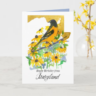 Grattis på födelsedagen Maryland Baltimore Oriole Kort