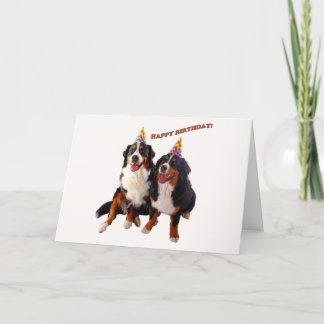 Grattis på födelsedagen med bernesiskt kort