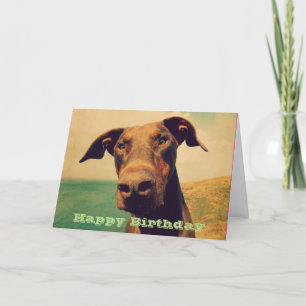 Grattis på födelsedagen med en gullig Doberman Kort