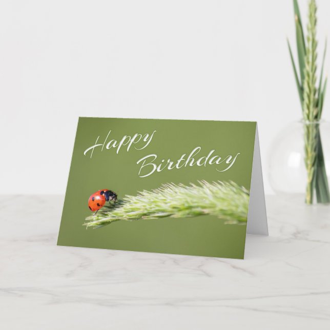 Grattis på födelsedagen med liten nyckelnos! kort (Framsida)