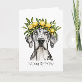 Grattis på födelsedagen Merle Great dane Hund Lemo Kort