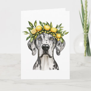 Grattis på födelsedagen Merle Great dane Hund Lemo Kort