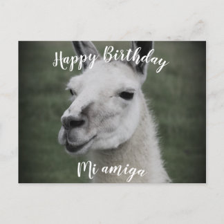 Grattis på födelsedagen "Mi Amiga" LLama vykort