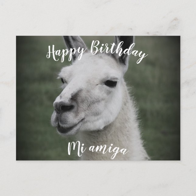 Grattis på födelsedagen "Mi Amiga" LLama vykort (Framsida)