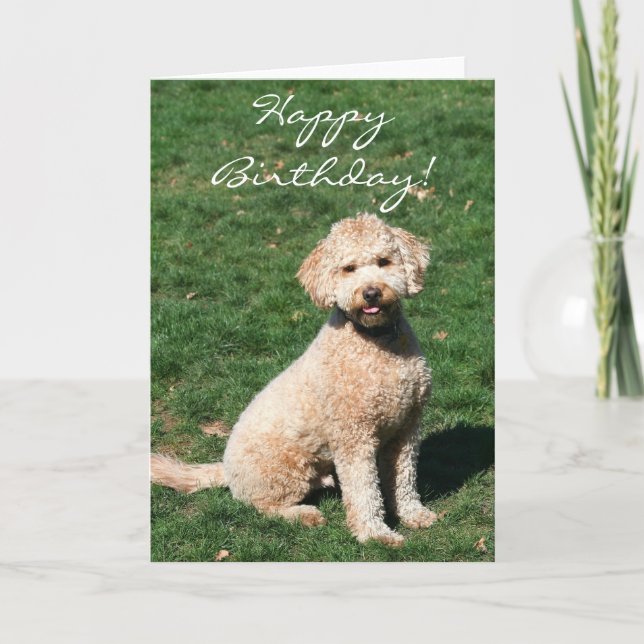 Grattis på födelsedagen Mini Goldendoodle-hälsning Kort (Framsida)