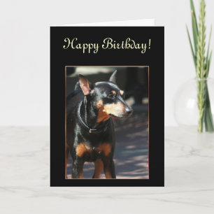 Grattis på födelsedagen Miniature Pinscher-hälsnin Kort