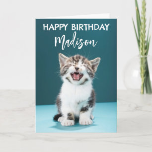 Grattis på födelsedagen Mjauande lilla kattunge Kort
