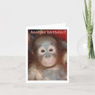 Grattis på födelsedagen Monkey runt Kort