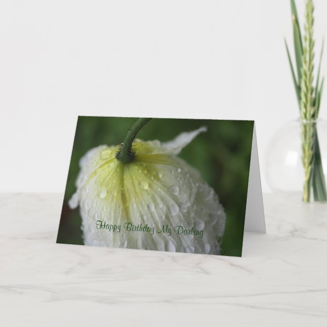 Grattis på födelsedagen My Darling White Poppy Car Kort (Framsida)