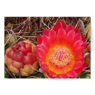 Grattis på födelsedagen Nana Bright Rosa Cactus Bl Hälsningskort