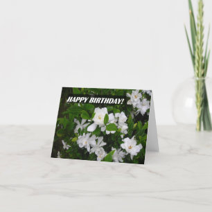 Grattis på födelsedagen NoteCard som presenterar Kort