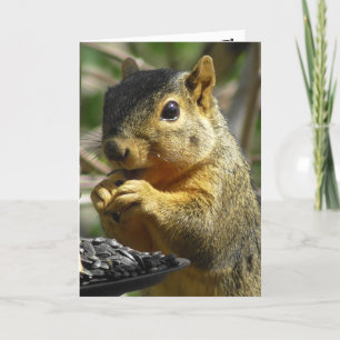 Grattis på födelsedagen Nutty Friend Funny Squirre Kort
