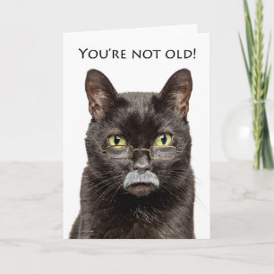 Grattis på födelsedagen Older Male Cat in Grått Mu Helgkort
