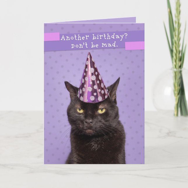 Grattis på födelsedagen Olyckliga Kat i Party Hat  Helgkort (Framsida)