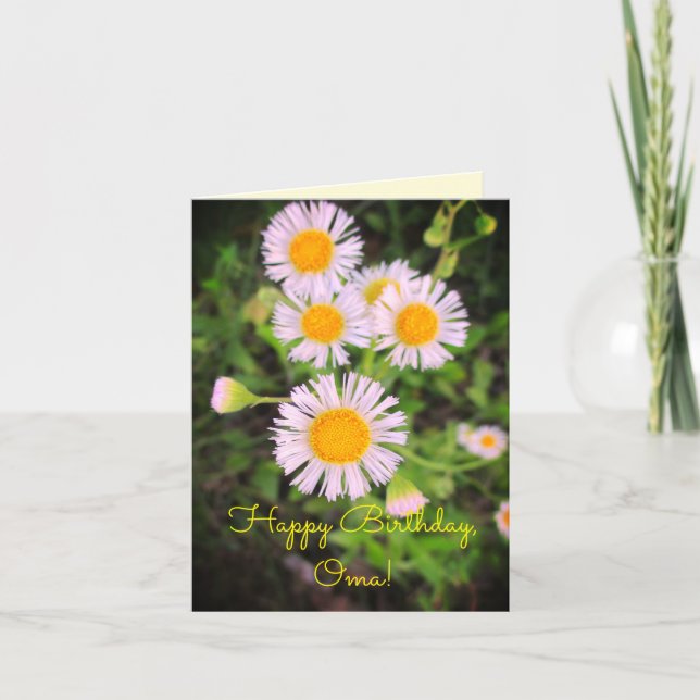 Grattis på födelsedagen Oma! Ha en härlig dag! Kort (Framsida)