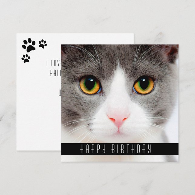 Grattis på födelsedagen Önskemål Cats Meddelande (Fram/baksida)