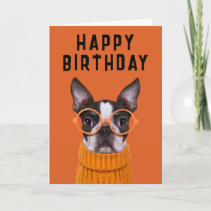 Grattis på födelsedagen Orange Boston Terrier Kort