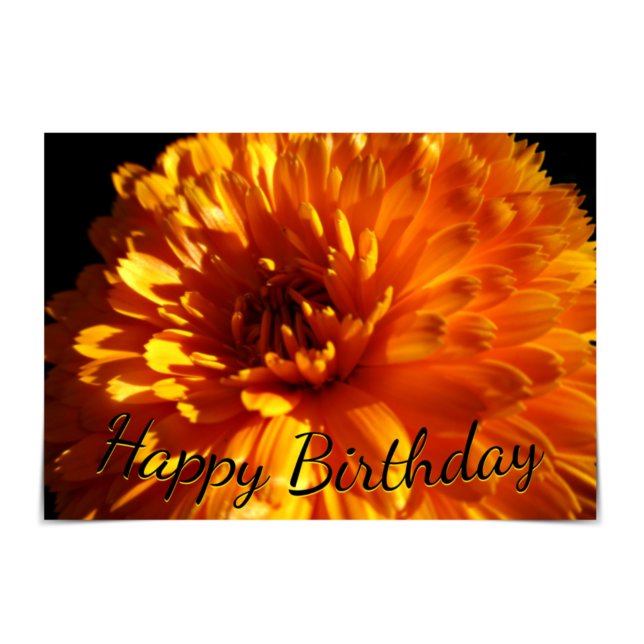 "Grattis på födelsedagen" Orange Chrysanthemum Car Kort (Skapare uppladdad)