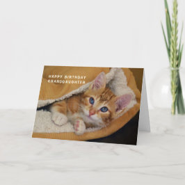 Grattis på födelsedagen, Orange Tabby Kitten i Bed Kort
