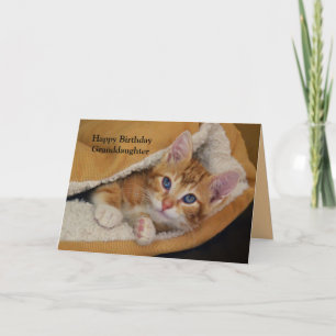 Grattis på födelsedagen, Orange Tabby Kitten i Bed Kort
