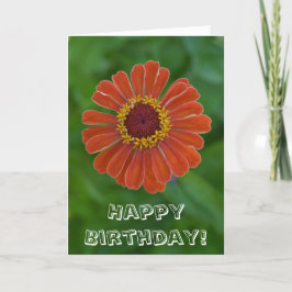 Grattis på födelsedagen Orange Zinnia-blomman blom Kort