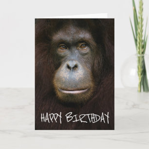 Grattis på födelsedagen   Orangutangansikte Kort