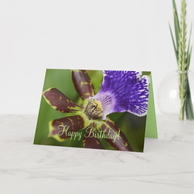 Grattis på födelsedagen orchid kort (Framsida)