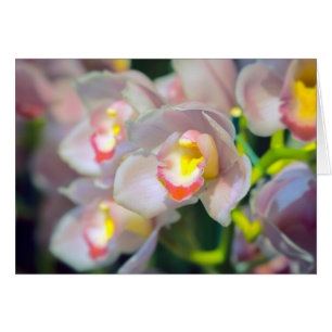 Grattis på födelsedagen Orchid Restyle Greeting Ca Hälsningskort