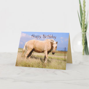 Grattis på födelsedagen Palomino Horse Card Kort
