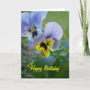 Grattis på födelsedagen Pansies Kort