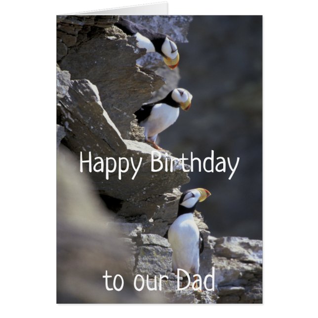 Grattis på födelsedagen Pappa Cute Puffin Birds Hu Hälsningskort (Framsidan)