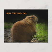 GRATTIS PÅ FÖDELSEDAGEN PAPPA Woodchuck Groundhog