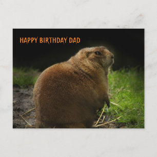 GRATTIS PÅ FÖDELSEDAGEN PAPPA Woodchuck Groundhog Vykort