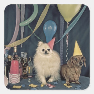 Grattis på födelsedagen Party med Hundar och dryck Fyrkantigt Klistermärke