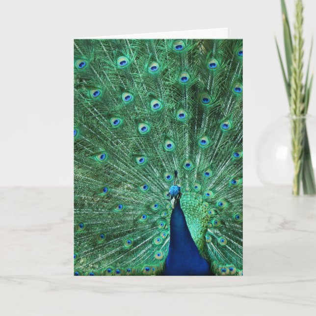 Grattis på födelsedagen Peacock Greeting Card Kort (Framsida)