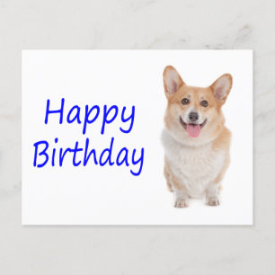 Grattis på födelsedagen Pembroke Corgi Puppy Hund Vykort